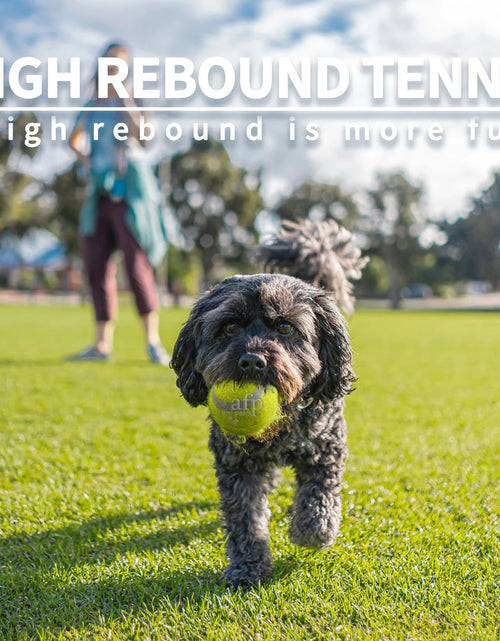 Load image into Gallery viewer, Dog Tennis Ball Toy, 6Pcs Fetch Balls for Puppy to Small Dogs (2-Inch AFP Mini Automatic Ball Launcher Refills)
