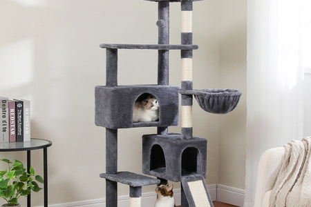 61" Cat Tree Tower for Indoor Cats with Platform and Scratching Posts, Cat Condo Cat Tree House in Pet Supplies, Gray