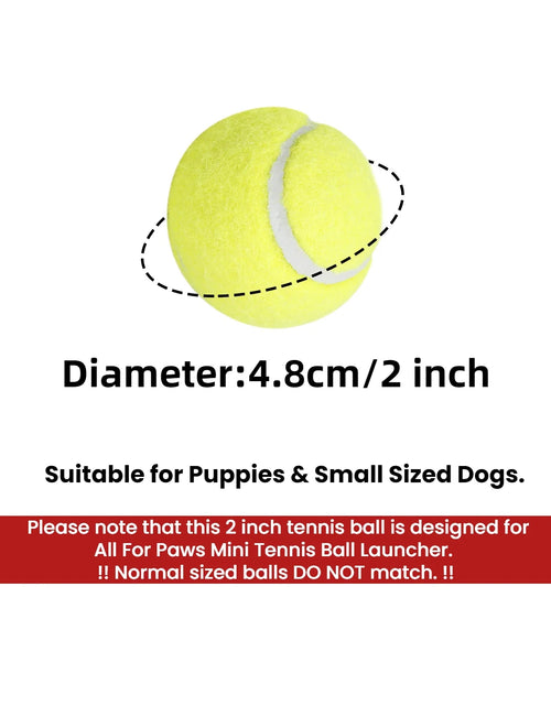 Load image into Gallery viewer, Dog Tennis Ball Toy, 6Pcs Fetch Balls for Puppy to Small Dogs (2-Inch AFP Mini Automatic Ball Launcher Refills)
