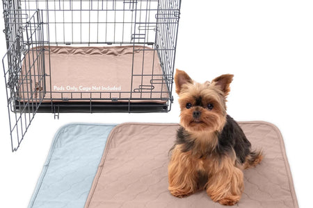 2Ct  Dog Crate Pads Mats Size 24X18” for Use with 24” Kennel and Crate | Washable Waterproof Dog Pee Pads