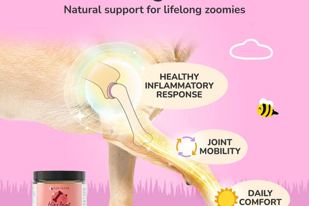 Organic Hip+Joint Supplement for Dogs & Cats (Medium) - 4 Oz