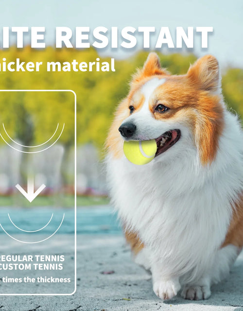 Load image into Gallery viewer, Dog Tennis Ball Toy, 6Pcs Fetch Balls for Puppy to Small Dogs (2-Inch AFP Mini Automatic Ball Launcher Refills)
